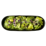Pansotti